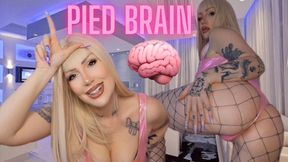 P.I.E.D. Brain - Only Porn Turns You On - Gooning - Masturbation Humiliation - JOI - Femdom - Addiction training - Blonde - Big Tits - Big Ass