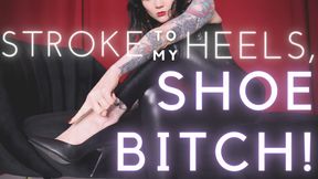 Stroke to My Heels, Shoe Bitch!