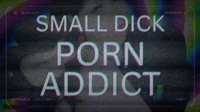 Little Dick Pornosexuality REDUX (no music)