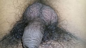 Shivani aaj Ghar pe akela thi to mene use pel diya