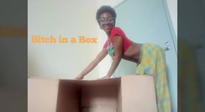 Bitch in a Box