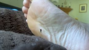 Giantess Special Effects - Playful Teenie Climbing all over Giantess MXDominions Giant Soles Giantess, Shrinking fetish, Foot Worship 1080