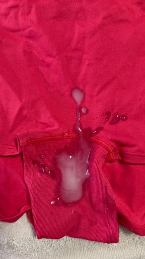 Cum on Wife’s Panties 4