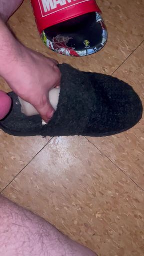 Quick shot on neighbour slipper