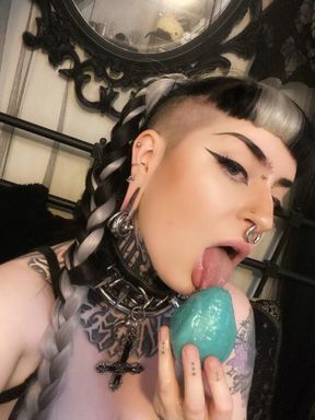 Did you know that Bunnys can lay eggs?