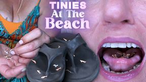 Tinies at the Beach UHD