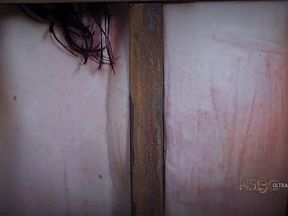 Rain De Grey - Transit Farm