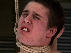 Toby1 L