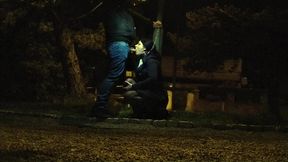 sucking cock by the roadside on rush hour