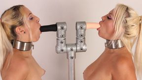 Double Blowjob Trainer prototype