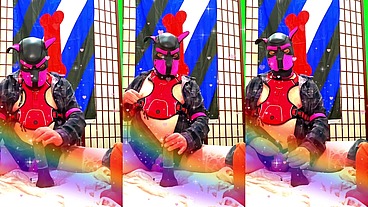 gay doggy styled