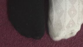 RED CARPET SOCKS
