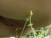 I Squat and Let It Flow All Over the Farm