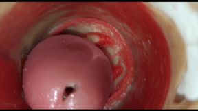 Compilation  CreamPie part 6 POV