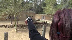 Hottest Porn Video Milf Incredible - Mary Jane And Mary Jane Mayhem