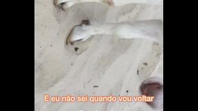 Ajude um Artista, olha esse cantor