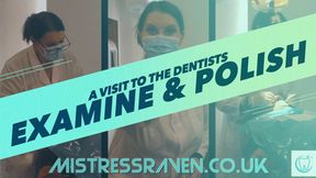 [1152] Examine and Polish A Visit to the Dentists