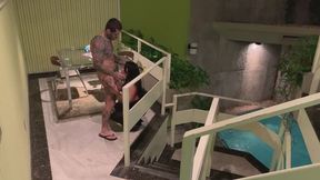 video cena 830