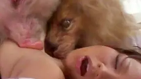 Asians Porn Star Wild Animal Fantasy