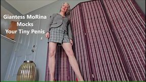 Giantess MoRina Mocks Your Tiny Penis - SPH (mobile vers)