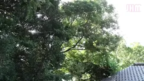 Adulterous Desire a Married Woman’s Secret Record 3