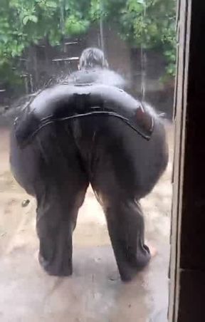 Ssbbw big Ass