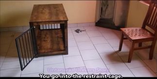 Bald Slave Bastinado x3 Feet Shredded Cage Crawl Cum Wrecked