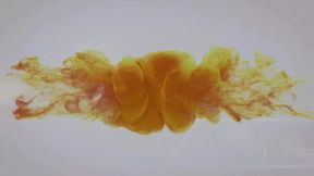Soaking Sex Toys by Wet And Pissy