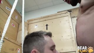 BEARFILMS Trussed Sammy Clover Barebacked By Guermica