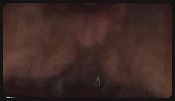 Buff Mormon Stud Dominates Shy Twink Bareback