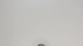 Community Creator
 @VikkiAstor @Teasing & #Nude #Sexy Lingerie #Blonde #Solo #Shaved Pussy adult video hd | Tik.Porn