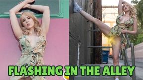 Flashing In The Alley WMV