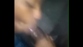 Kansas City Thot  Swallow BBC