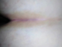 Fat Bear Takes Bareback BBC