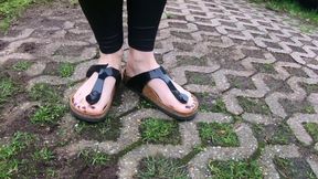 42. Birkenstock Gizeh HD