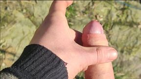 Jerk and pee in the garden (POV)