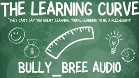 The Learning Curve Audio