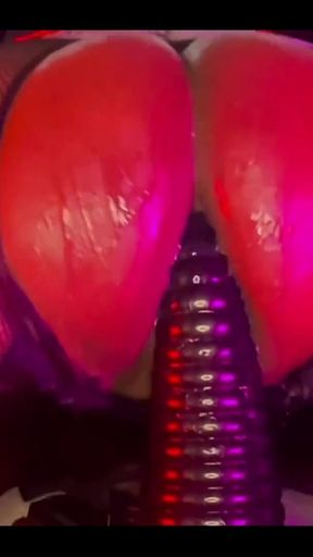 Can I Twerk on Your Fuck Stick Like This?