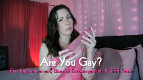 Are You Gay?