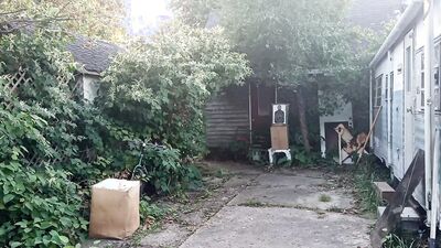 im cupid lol lil wulffy diapered archerey