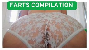 SUMMER FARTS COMPILATION