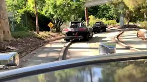 Cheetah Adora at Disney Theme Park