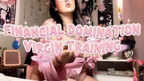 Financial Domination Virgin Training