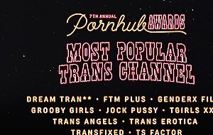 The 7th Annual Pornhub Awards - Winners