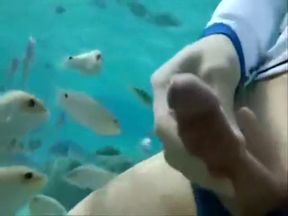 18: fish eat cums in ocean
