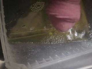 Pissing all over cheap kitchen cabinet door