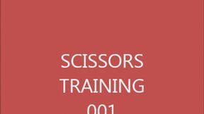 SCISSOR TRAINING 001