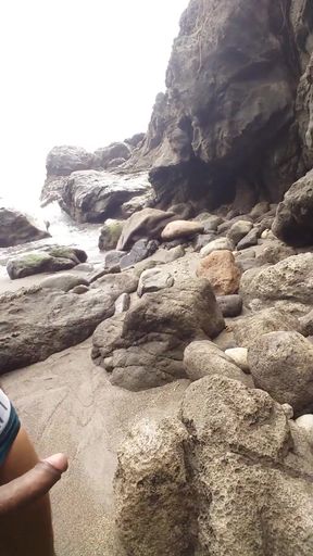 I Went to a Paradisiacal Beach and I Got Very Horny