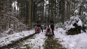 Winter Wonderland - Pony edition by  Mistress Katharina and Sadist Sara Stahl