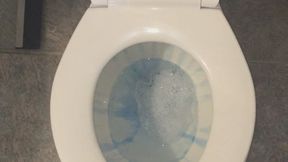 CARNEVIL TOILET FLUSH